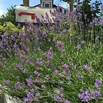 Garten86
