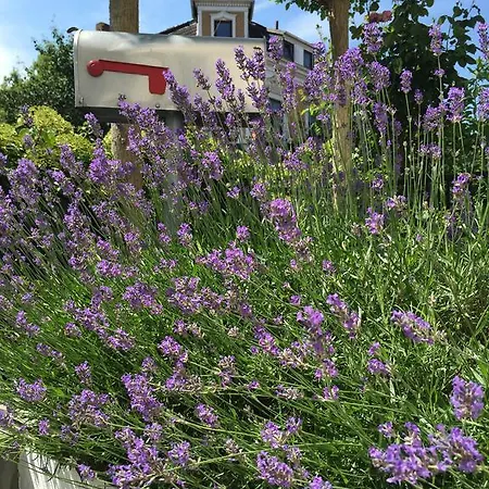 Garten86