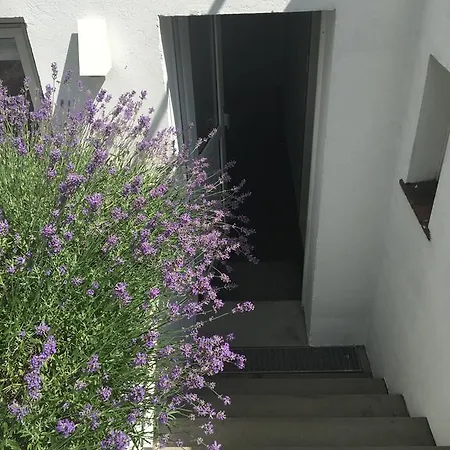 Garten86 Brema
